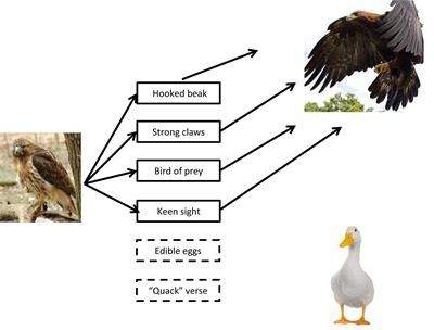 Semantic Relations in a Categorical Verbal Fluency Test: An Exploratory Investigation in Mild Cognitive Impairment